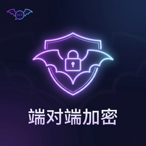 蝙蝠聊天 - 蝙蝠聊天软件P2P通讯技术介绍